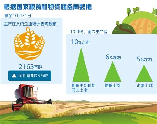 粮食价格上涨势头难持续 物资贸易视角下的深度解析